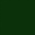 dark green square