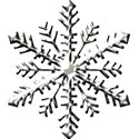 snowflake4