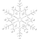 snowflake9