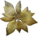 DS_Frosty_GoldSettia