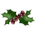 DS_Frosty_Holly