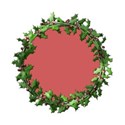 DS_Frosty_HollyFrame