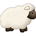 sheep1