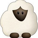 sheep2