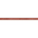 DS_AR_Ribbon  (1)