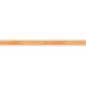 DS_AR_Ribbon  (6)