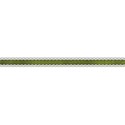 DS_AR_Ribbon  (7)