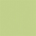 whitestar-on-ltgreen