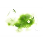 7x5 , Calendar Flower Background 7x5 , Calendar Flower Background