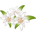 Wedding002_flower2