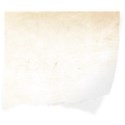 Wedding002_paper2