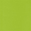 AlbumstoRem_greensolid_travel