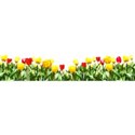 flower08