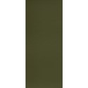 DS_RH_Green strip