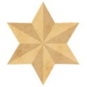 ss_adorehim_star_6point