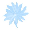 Blue flower
