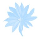 Blue flower