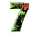 07