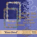 DS_Winter Flake_Prev