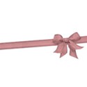 Wedding001_ribbon3