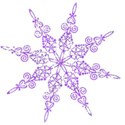 Snowflake24