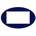 blue ribbon slide