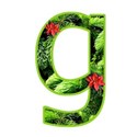 g