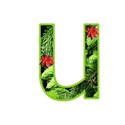 u