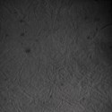 Wedding003_bg3