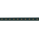 Diann Snow_twill star stud