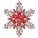 Snowflake4