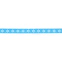 DS_LIS_12Ribbon (5)