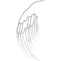 wing left