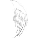 wing right