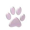 paw4