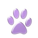 paw5