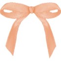 ribbon9