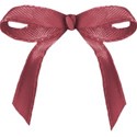 ribbon10