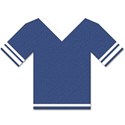 jersey2