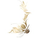 Embellishment