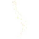 Embellishment