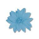 blue flower