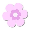 Pink flower