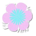 Pink and blue flower