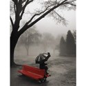red bench umbrella