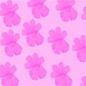 bg14