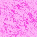 bg10