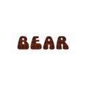 bear 1