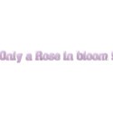 rose emb 3