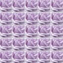 rose paper 8